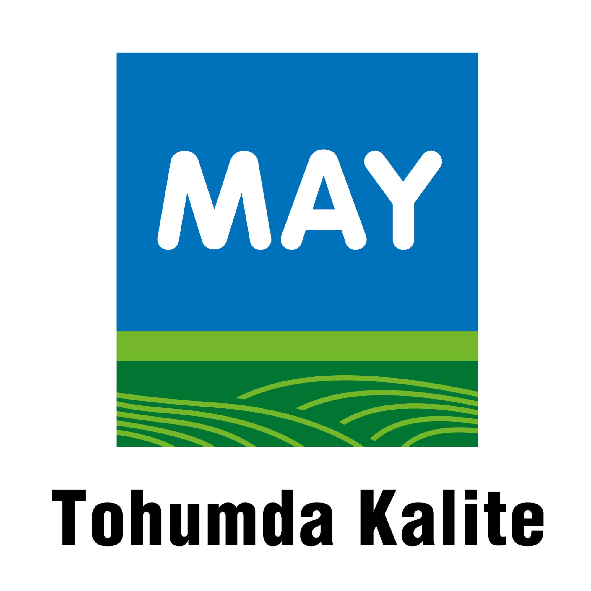 May Tohum